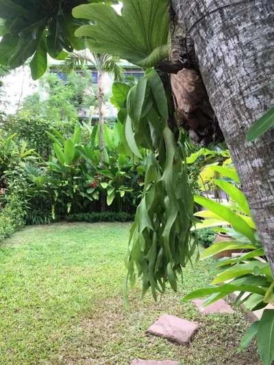 Villas Chaba – Photos 8