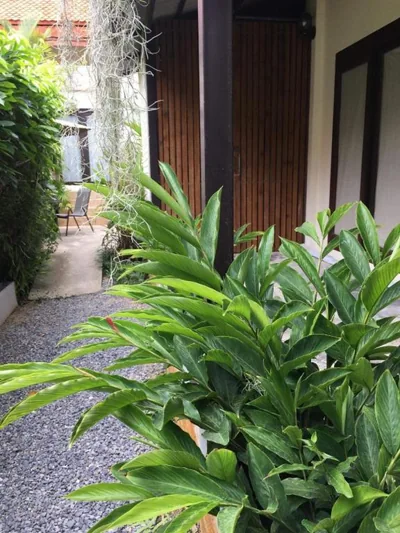 Villas Chaba – Photos 9